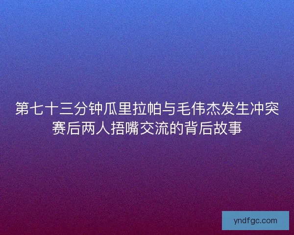 第七十三分钟瓜里拉帕与毛伟杰发生冲突赛后两人捂嘴交流的背后故事